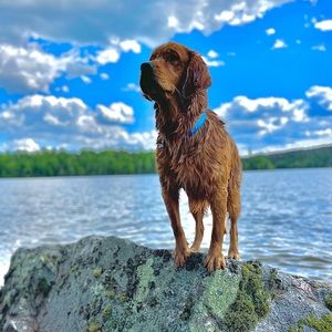 Meet your Posher, Emma